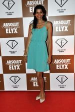 at Sun Dance Party by Absolut Elyx in Mumbai on 21st Oct 2012 (79).JPG